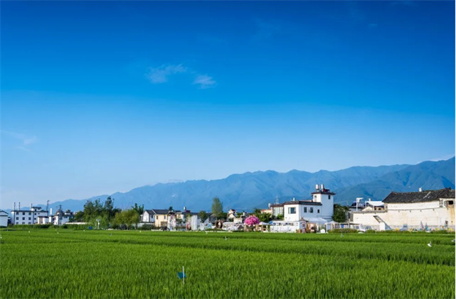 住進大理喜洲古鎮(zhèn)天谷喜院精品酒店，在這方心靈棲息地傾聽大理故事
